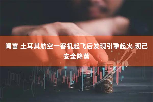 闻喜 土耳其航空一客机起飞后发现引擎起火 现已安全降落